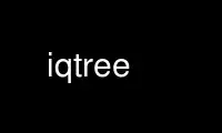 Execute o iqtree no provedor de hospedagem gratuita OnWorks no Ubuntu Online, Fedora Online, emulador online do Windows ou emulador online do MAC OS