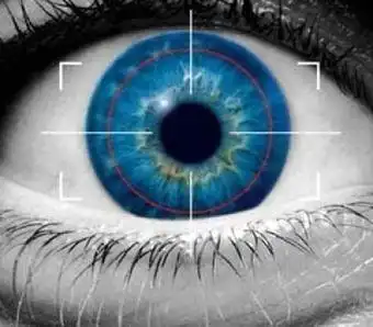 Download web tool or web app Iris Recognition System