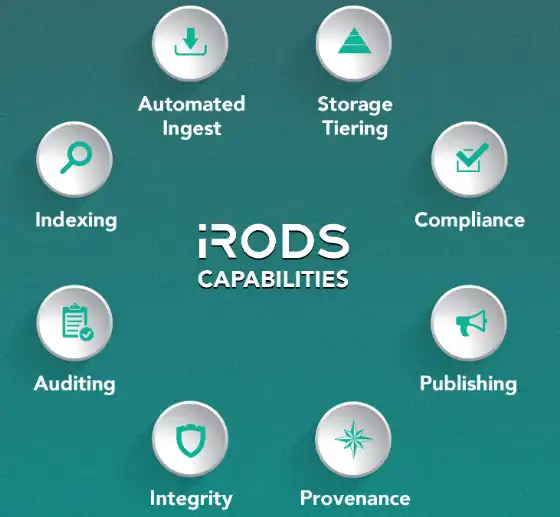 下载网络工具或网络应用程序 iRODS