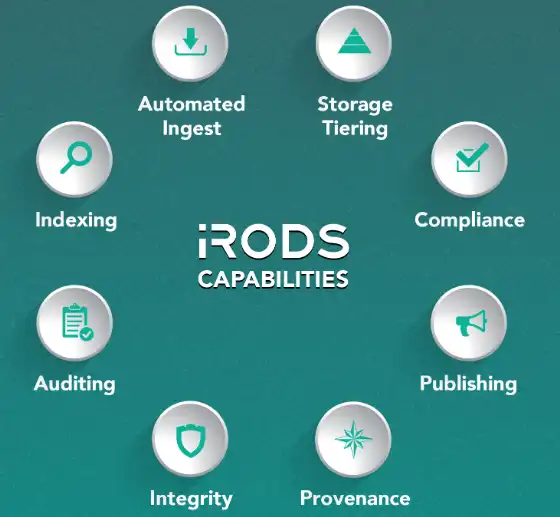 Download web tool or web app iRODS