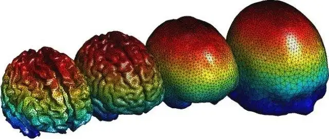 Web aracını veya web uygulamasını indirin Iso2Mesh - 3D Mesh Üretimi Araç Kutusu