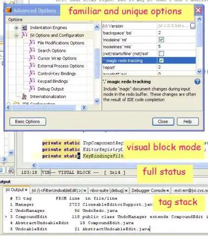 Web aracını veya web uygulamasını indirin JavaVi - vi/vim düzenleyici klonu