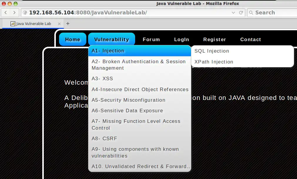 Download web tool or web app Java Vulnerable Lab - Pentesting Lab