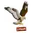 Free download j-Hawk Linux app to run online in Ubuntu online, Fedora online or Debian online