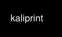 Run kaliprint in OnWorks free hosting provider over Ubuntu Online, Fedora Online, Windows online emulator or MAC OS online emulator