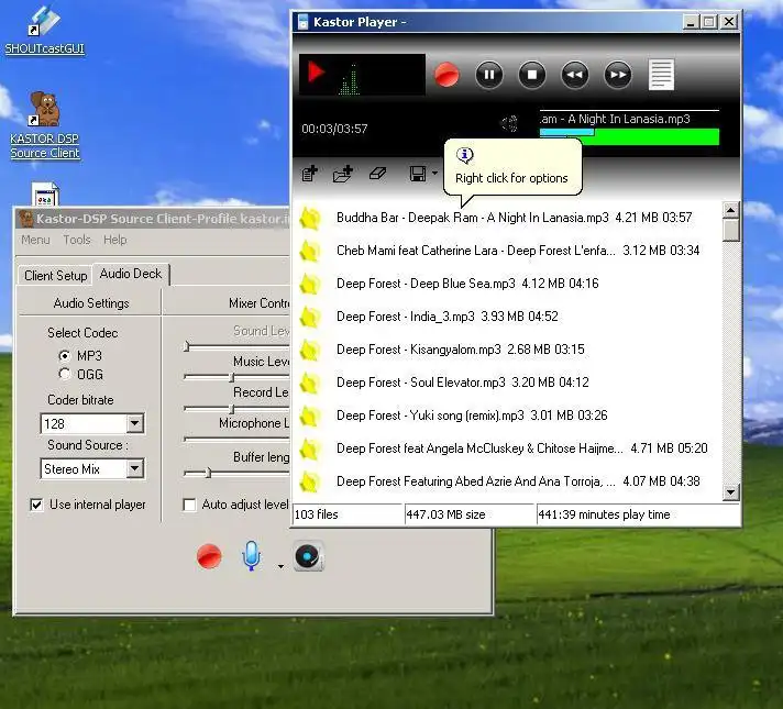 Download web tool or web app Kastor DSP (Radio Broadcasting Software)