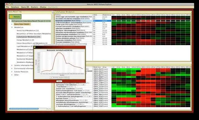 Download web tool or web app Katsura: Metabolic Pathway Analysis Tool to run in Linux online