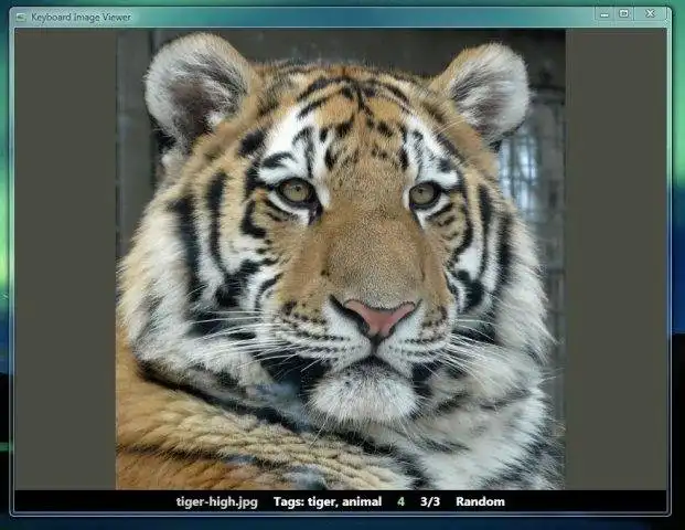 Download de webtool of webapp Keyboard Image Viewer