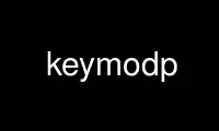 Ubuntu Online, Fedora Online, Windows 온라인 에뮬레이터 또는 MAC OS 온라인 에뮬레이터를 통해 OnWorks 무료 호스팅 제공업체에서 keymodp 실행