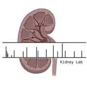 Free download KidneyExplorer Linux app to run online in Ubuntu online, Fedora online or Debian online