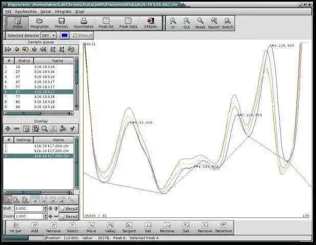 Download web tool or web app LabChrom Chromatographic Software