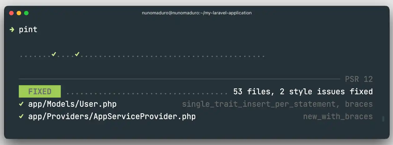 Download web tool or web app Laravel Pint