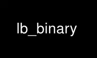 Run lb_binary in OnWorks free hosting provider over Ubuntu Online, Fedora Online, Windows online emulator or MAC OS online emulator