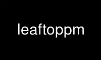Run leaftoppm in OnWorks free hosting provider over Ubuntu Online, Fedora Online, Windows online emulator or MAC OS online emulator