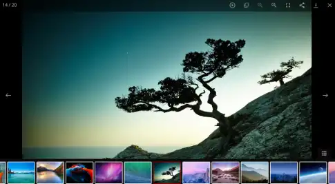 Download web tool or web app lightgallery.js