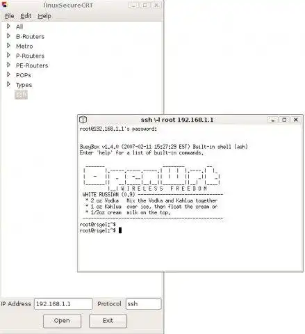 Télécharger l'outil Web ou l'application Web linuxSecureCRT