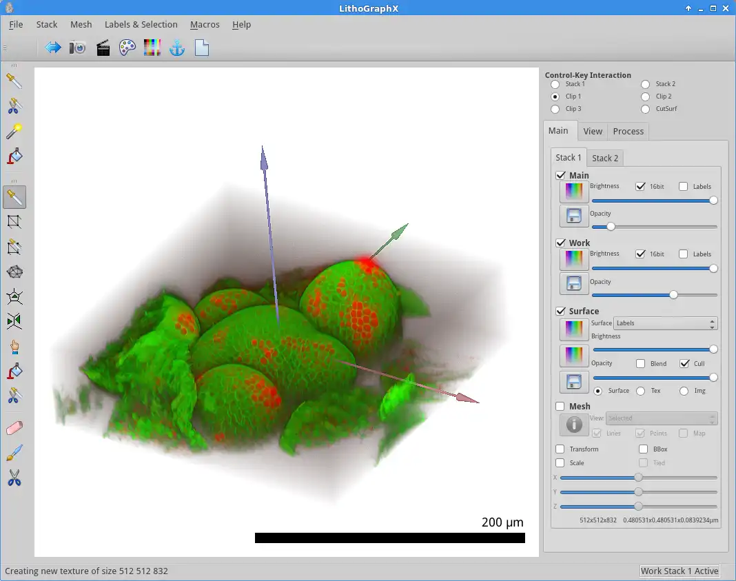 Download web tool or web app LithoGraphX