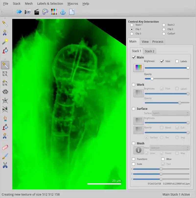 Download web tool or web app LithoGraphX