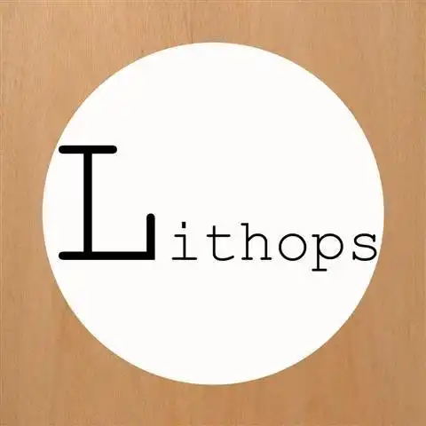 Download web tool or web app Lithops