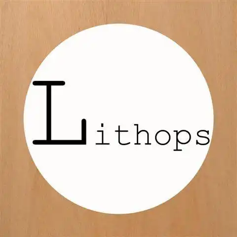 Download web tool or web app Lithops to run in Windows online over Linux online