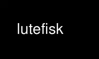 Run lutefisk in OnWorks free hosting provider over Ubuntu Online, Fedora Online, Windows online emulator or MAC OS online emulator