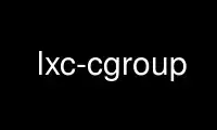 Run lxc-cgroup in OnWorks free hosting provider over Ubuntu Online, Fedora Online, Windows online emulator or MAC OS online emulator