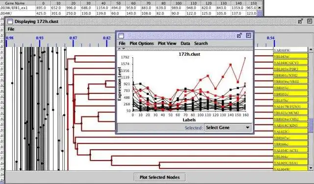 Pobierz narzędzie internetowe lub aplikację internetową MagicTool, aby działać w systemie Windows online za pośrednictwem systemu Linux online