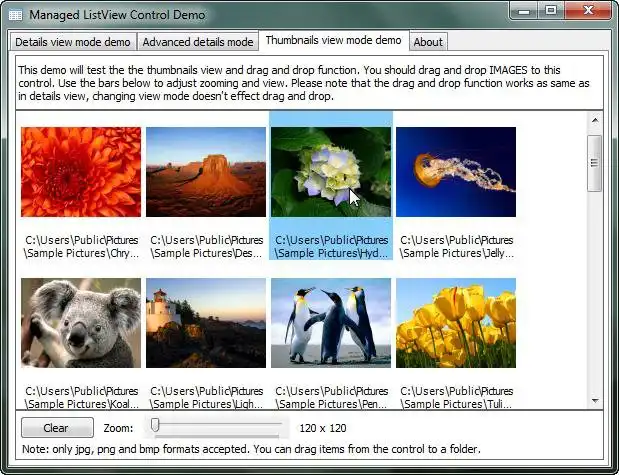 Descargue la herramienta web o la aplicación web Managed ListView Control