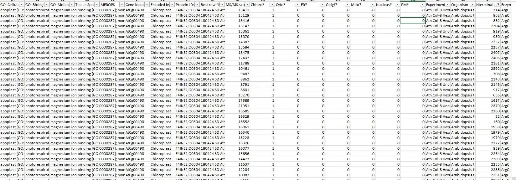 Descărcați instrumentul web sau aplicația web MANTI.pl / muda.pl