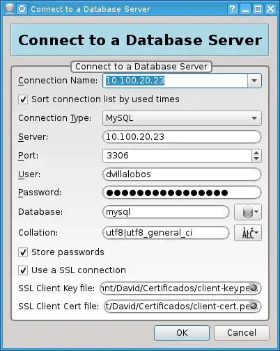 Download web tool or web app MariaDB-Explorer