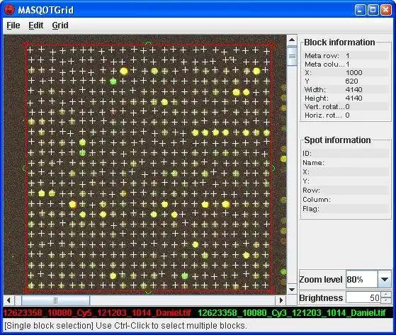 Download web tool or web app MASQOT-GUI to run in Windows online over Linux online