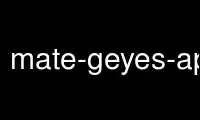 قم بتشغيل تطبيق mate-geyes-applet في مزود الاستضافة المجاني من OnWorks عبر Ubuntu Online أو Fedora Online أو محاكي Windows عبر الإنترنت أو محاكي MAC OS عبر الإنترنت