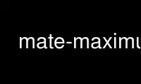 הפעל את mate-maximus בספק אירוח בחינם של OnWorks על אובונטו מקוון, פדורה מקוון, אמולטור מקוון של Windows או אמולטור מקוון של MAC OS