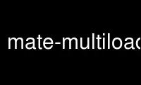Execute mate-multiload-applet no provedor de hospedagem gratuita OnWorks no Ubuntu Online, Fedora Online, emulador online do Windows ou emulador online do MAC OS