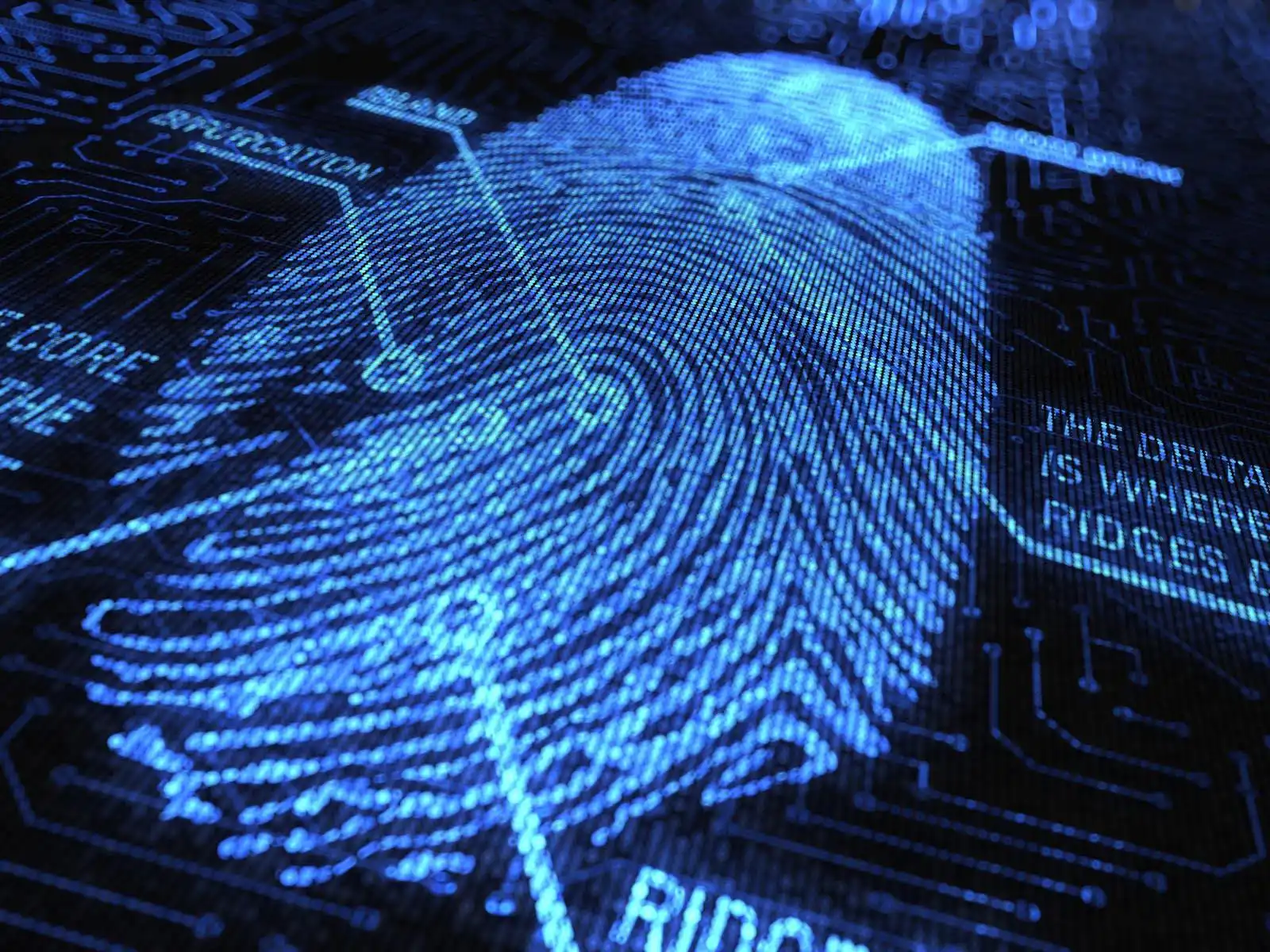 Baixe a ferramenta da web ou o aplicativo da web Matlab Fingerprint Recognition Code