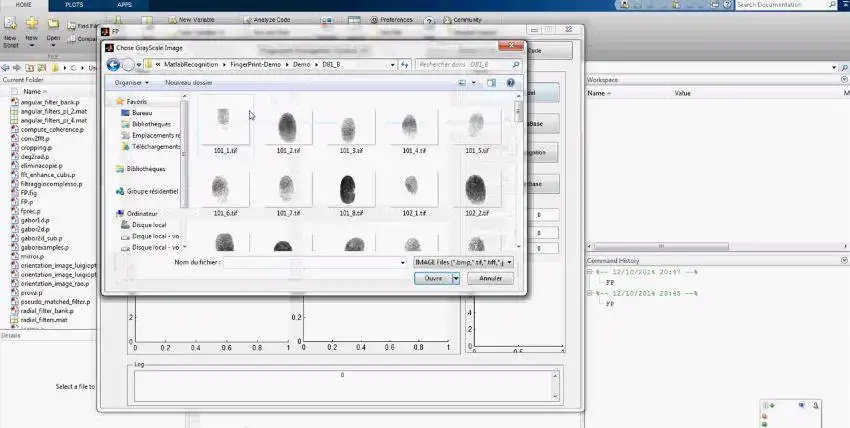 دانلود ابزار وب یا برنامه وب Matlab Fingerprint Code Recognition Code