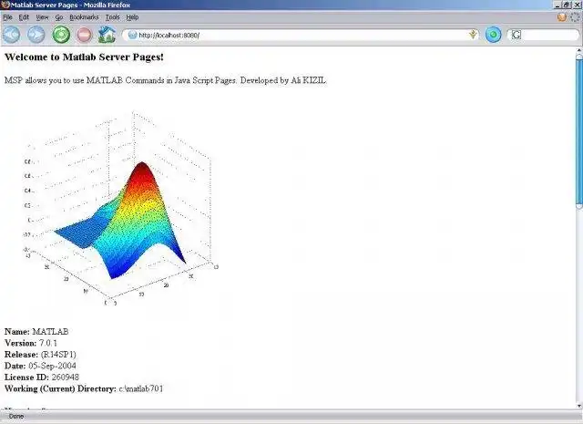 Download web tool or web app MATLAB Server Pages to run in Windows online over Linux online