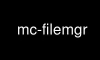 Run mc-filemgr in OnWorks free hosting provider over Ubuntu Online, Fedora Online, Windows online emulator or MAC OS online emulator