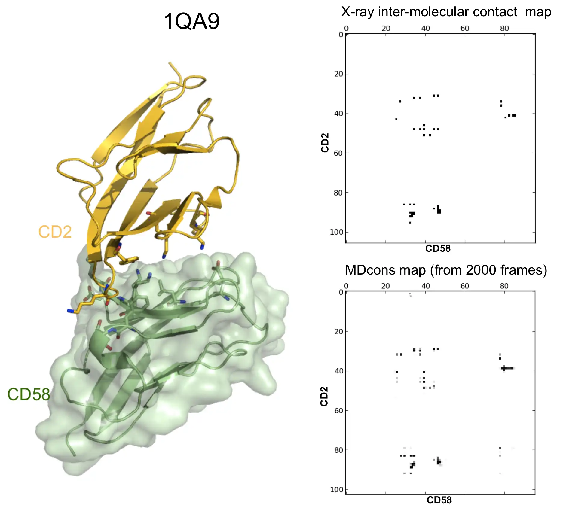 Download web tool or web app MDcons(Molecular Dynamics consensus)    