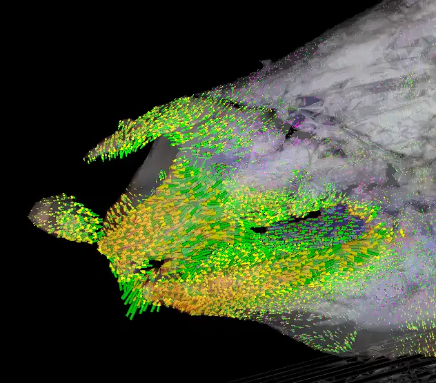 Download web tool or web app medical image analysis