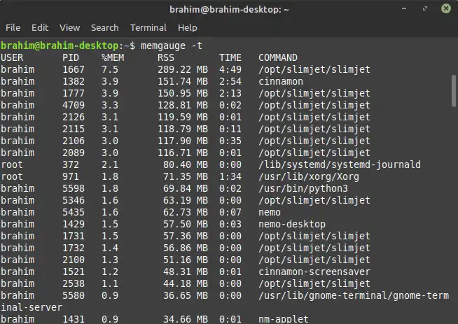 Téléchargez un outil Web ou une application Web Memgauge