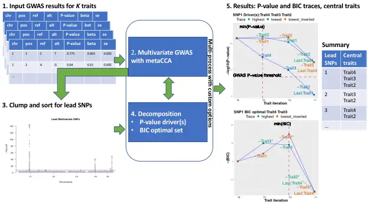 Download webtool of webapp MetaPhat -meta-pheno-association-tracker