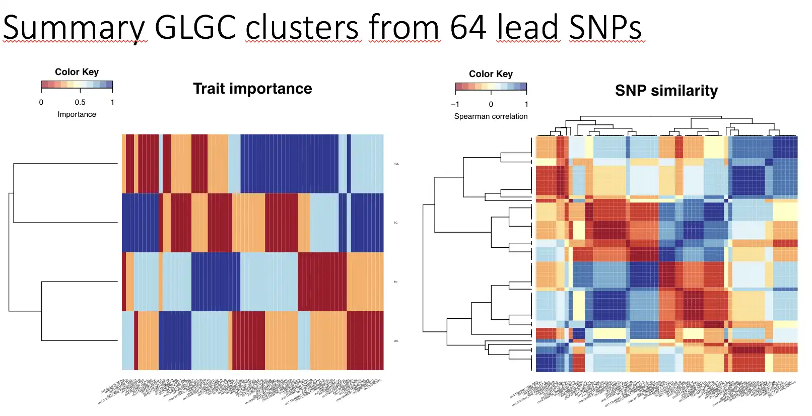 Scarica lo strumento web o l'app web MetaPhat -meta-pheno-association-tracker