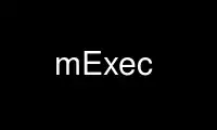 Patakbuhin ang mExec sa OnWorks na libreng hosting provider sa Ubuntu Online, Fedora Online, Windows online emulator o MAC OS online emulator