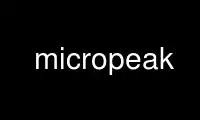 Run micropeak in OnWorks free hosting provider over Ubuntu Online, Fedora Online, Windows online emulator or MAC OS online emulator