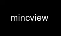 Execute mincview no provedor de hospedagem gratuita OnWorks no Ubuntu Online, Fedora Online, emulador online do Windows ou emulador online do MAC OS