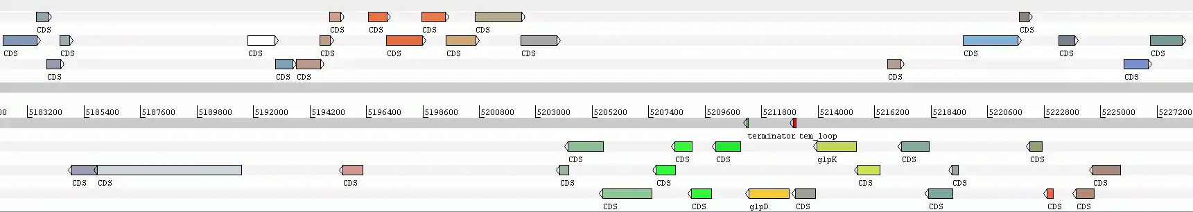 Download webtool of webapp diverse genomics-tools