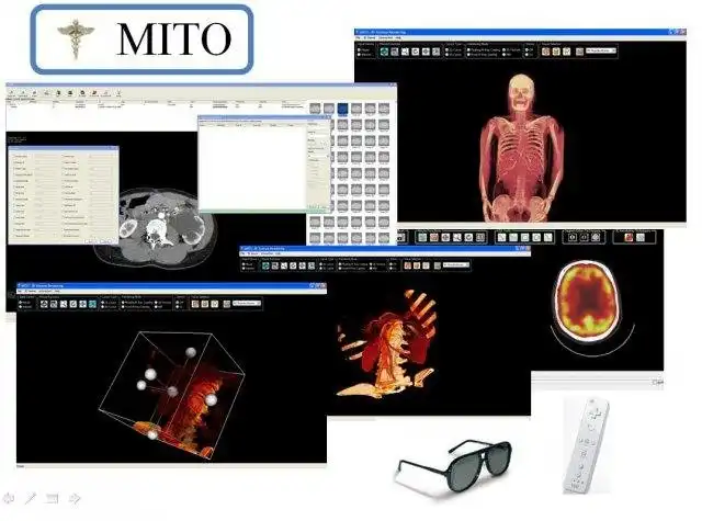 Download web tool or web app MITO - DICOM Viewer