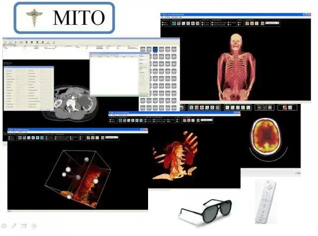 Download webtool of webapp MITO - DICOM Viewer