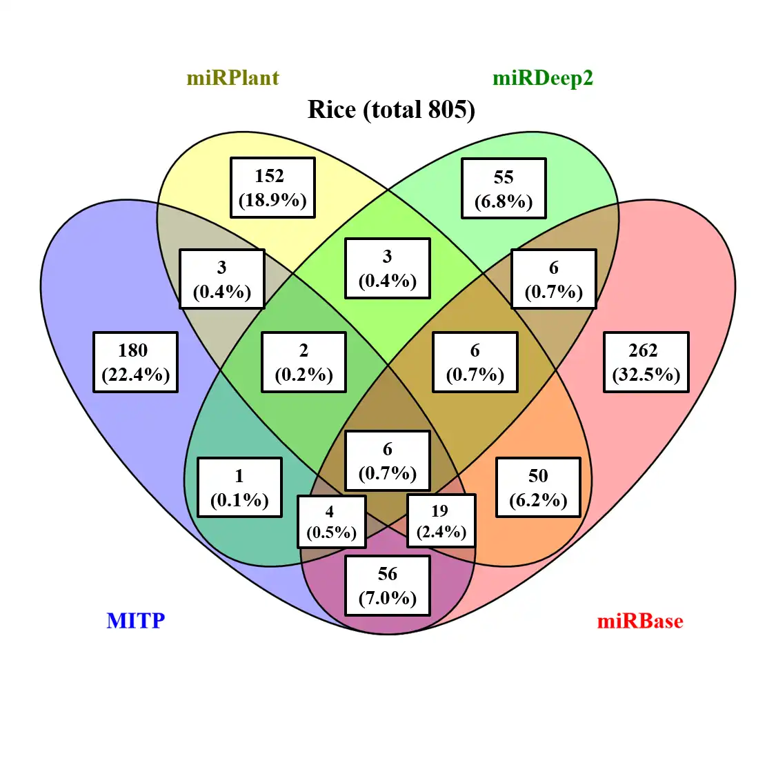 Download web tool or web app MITP